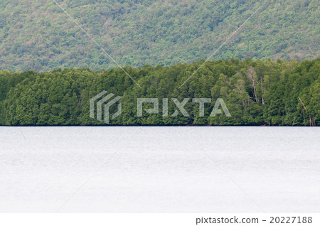 landscape mountain and sea 20227188