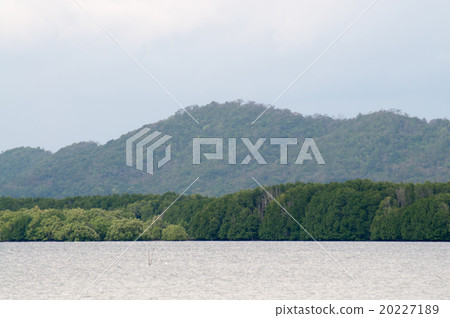 landscape mountain and sea 20227189