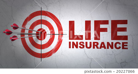 Insurance concept: target and Life Insurance on 20227866