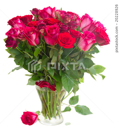 Border of red and pink roses  20228926