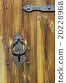 Door 20228968