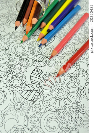 Adult Coloring 20230482