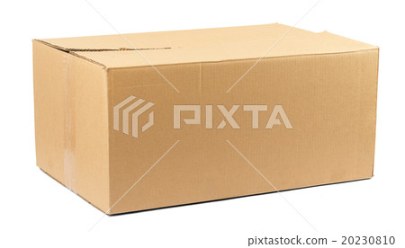 Brown cardboard box Brown cardboard box 20230810