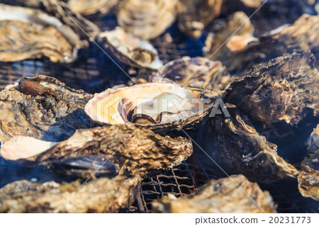 Grilled oysters Grilled oysters 20231773