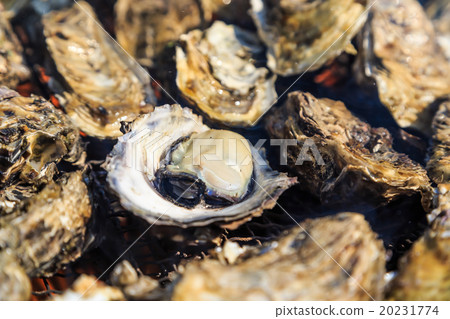 烤牡蠣 烤牡蠣 20231774