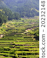 Rice terraces 20232148