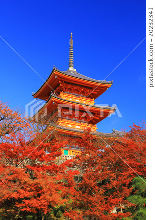 12月京都清水寺·三重塔和秋葉 20232341