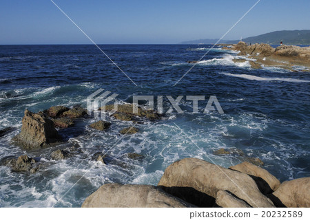 Wao Island Wao Island 20232589