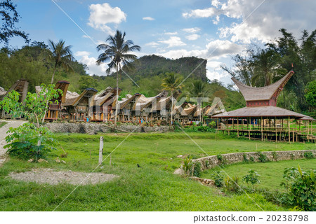 Tongkonan traditional village Kete Kesu Tongkonan traditional village Kete Kesu 20238798