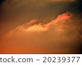 Setting sun, sunset 20239377