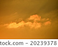 Setting sun, sunset 20239378