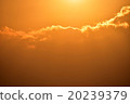 Setting sun, sunset 20239379