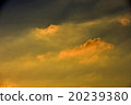 Setting sun, sunset 20239380