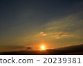 Setting sun, sunset 20239381