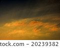 Setting sun, sunset 20239382
