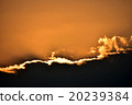 Setting sun, sunset 20239384