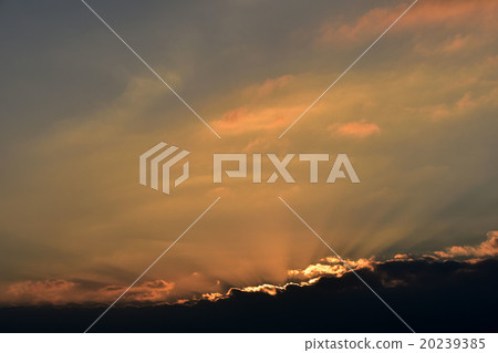 夕陽,日落 夕陽,日落 20239385