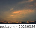 Setting sun, sunset 20239386