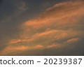 Setting sun, sunset 20239387