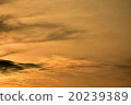 Setting sun, sunset 20239389
