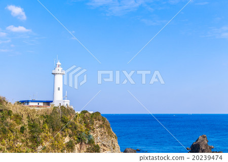 Great King Saigun 20239474