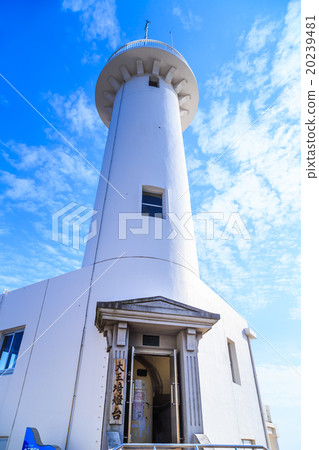 Great King Saigun 20239481