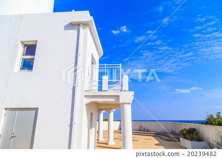 Great King Saigun 20239482