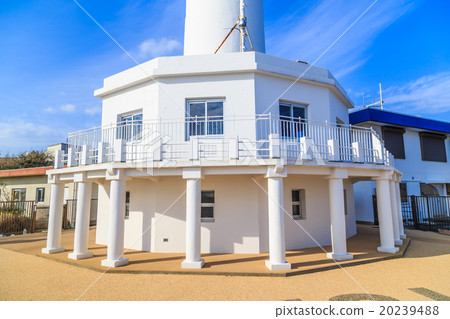 Great King Saigun 20239488