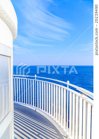 Great King Saigun 20239490