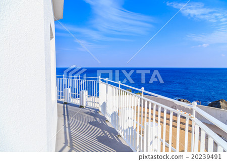 Great King Saigun 20239491