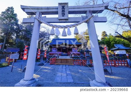 Serarada Toshogu神社 20239668