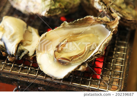 搖滾牡蠣烤孩子 20239687
