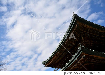 Temple and roof 20239746