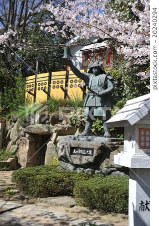 Sanada Yukimura Sakura Sanada Yukimura Sakura 20240294