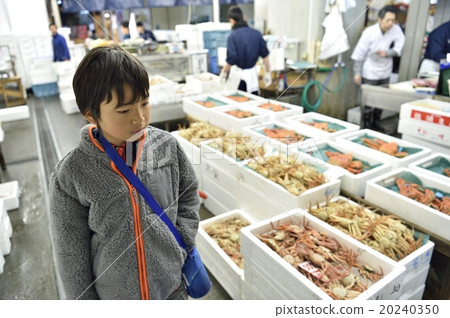 Omi-cho Market 20240350