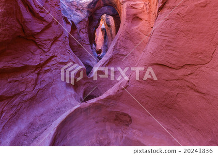 Slot canyon 20241836