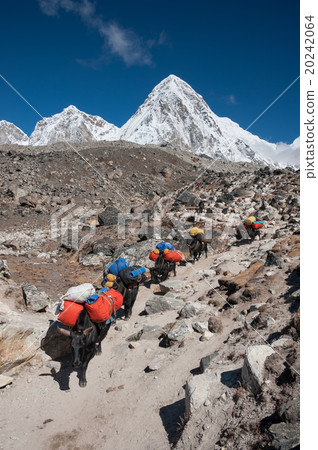 Everest Base Camp Trek Everest Base Camp Trek 20242064