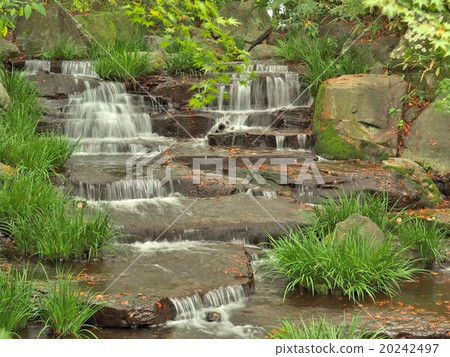 Stream in green forest. Stream in green forest. 20242497