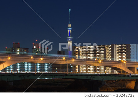 Fan Bridge and Sky Tree and Building 20242722