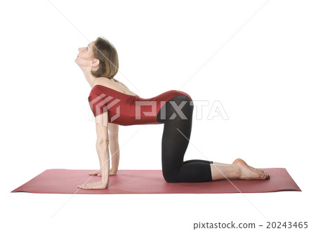Exercising woman 20243465