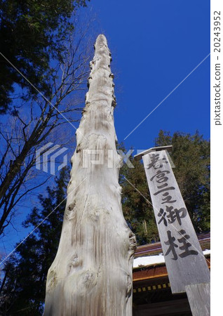 The pillar of the Shinshu Suwa Taisha Shrine (Ombara) One of the three biggest festivals in Japan The Sacred tree (the fir tree of the fir) The pillar of the Shinshu Suwa Taisha Shrine (Ombara) One of the three biggest festivals in Japan The Sacred tree (the fir tree of the fir) 20243952