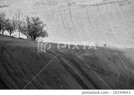 Czech Moravia hills. Arable lands in spring Czech Moravia hills. Arable lands in spring 20244641
