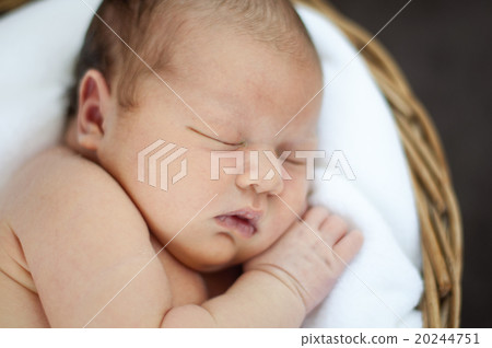 Newborn 20244751