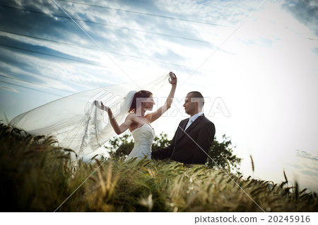 Bride and groom Bride and groom 20245916