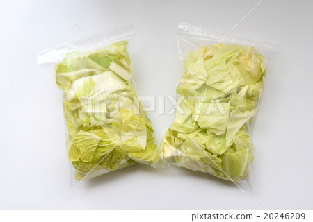 大白菜和白菜切包 20246209