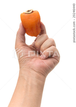 Ampo persimmon Ampo persimmon 20246440