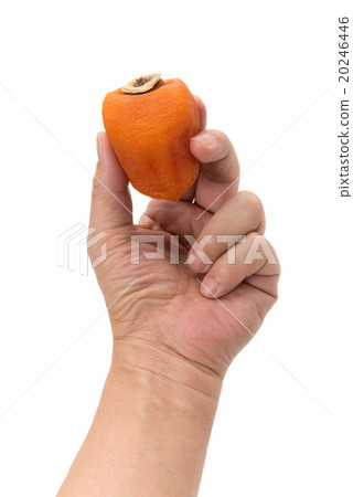 Ampo persimmon 20246446