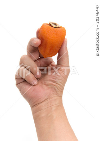 Ampo persimmon 20246447