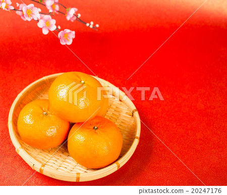 .Chinese orange fruit mean good luck .Chinese orange fruit mean good luck 20247176
