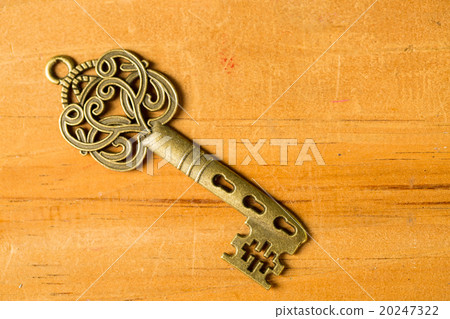 .Single vintage key .Single vintage key 20247322